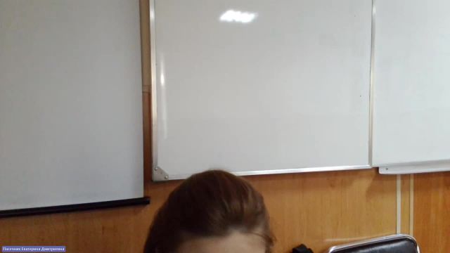 ИТИП 29-05-2024  18_55  (Пасечник Е-Д-)