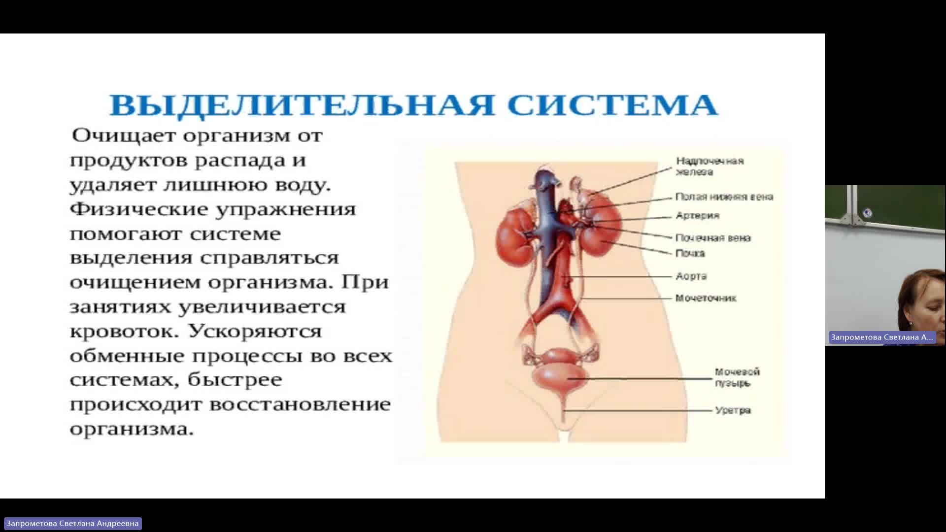 ФК 05-12-2023  20_55  (Запрометова С-А-)