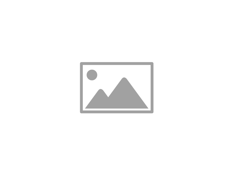 ИР 13-06-2024  18_55  (Скворцов К-Н-)